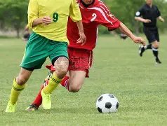 巴西男足国,家队主帅儒,尼奥尔被剥,kaiyun·开云（中国）,kaiyun·开云（中国）官方,kaiyun·开云（中国）官网,kaiyun·开云（中国）入口,kaiyun·开云（中国）登录,kaiyun·开云（中国）链接